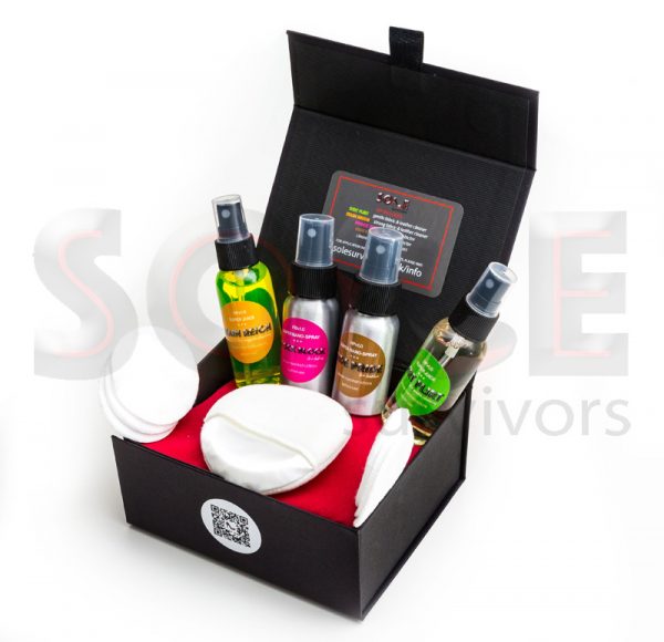 Luxury Cleaning & Protection Kit Open